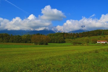 Fototapeta premium rural mountain landscape with field, trees and clouds
