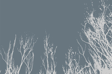 Fototapeta na wymiar Silhouettes of Trees on subtle background. Tree Pattern