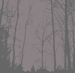 Silhouettes of Trees on subtle background. Tree Pattern