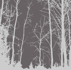 Silhouettes of Trees on subtle background. Tree Pattern