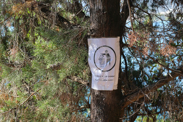 Beautiful nature. Plants and Stones