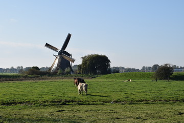 Fototapeta na wymiar Dutch mill located near amsterdam painted by famous dutch painter Piet Mondrian