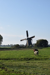 Vertical realistic picture of dutch wind mill in polder near Amsterdam