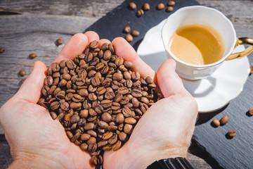 Grains of fresh coffee roasting in hands on the background of the roaster.