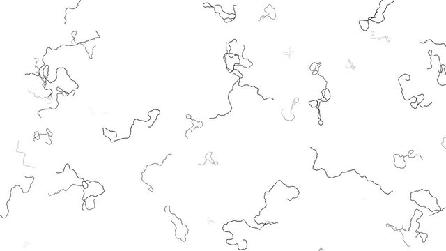 Random Walk Algorithm Scribble Frame Partial Filling Animation