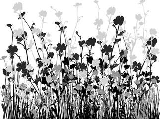 wild flowers grey and black silhouettes isolated on white