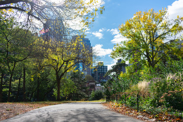 Naklejka premium Fort Greene Park in Brooklyn New York during Autumn with Skyscrapers in the background
