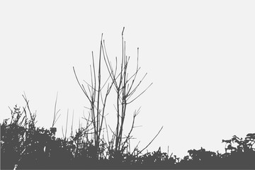 Silhouettes of Trees on subtle background. Tree Pattern