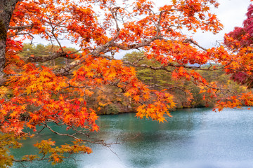 Goshikinuma Ponds, 5 colors ponds in Fukushima, Japan - 299337238