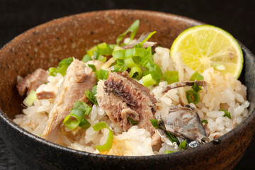 秋刀魚ご飯