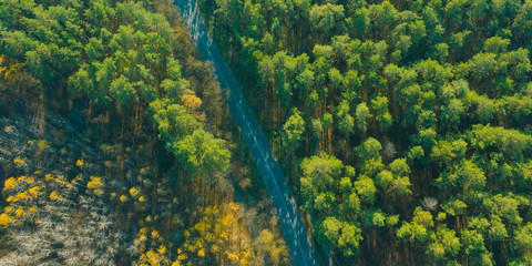Aerial top view two forest halves are shared by the road. The green coniferous summer forest and highway. Summer and autumn travel banner concept.