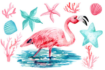flamingo in water on an isolated white background, watercolor illustration