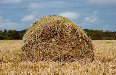 Round haystack on a yellow field. Autumn harvest on a mown field. A large haystack in profile against a blue sky.