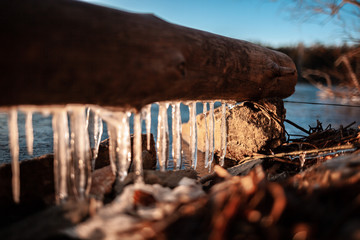 autumn forest on the lake at sunset