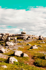 Fototapeta premium Beautiful summer day landscape abandoned artnature coastal defense North Teriberka, Barents sea view.