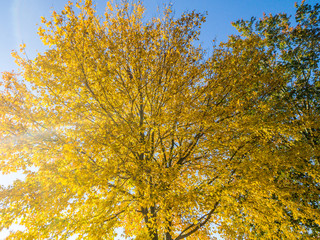 Stock photo of autumn rural landscape