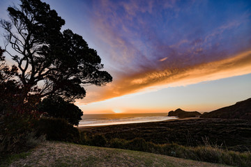 New Zealand travel, Auckland, Wellington^ fiords and islands