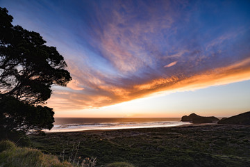 New Zealand travel, Auckland, Wellington^ fiords and islands