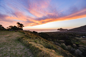 New Zealand travel, Auckland, Wellington^ fiords and islands