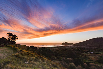 New Zealand travel, Auckland, Wellington^ fiords and islands