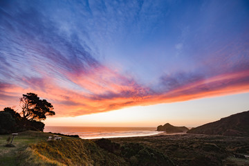 New Zealand travel, Auckland, Wellington^ fiords and islands