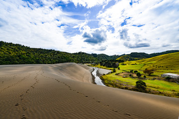 New Zealand travel, Auckland, Wellington^ fiords and islands