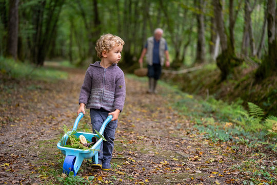 un petit garçon pousse une brouette bleue sur un chemin forestier