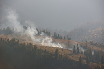 Forest fire smoke on the slopes hills