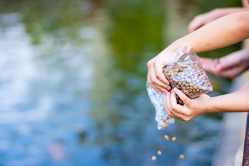 Asean children catch food to feed koi fish in the park.