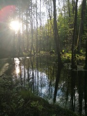 Fototapeta na wymiar Jezioro w lesie i oiranku