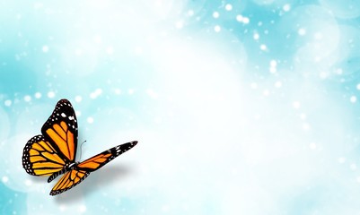 Little beautiful orange butterfly on abstract background