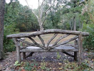 rustic wooden bench in park in fall #2