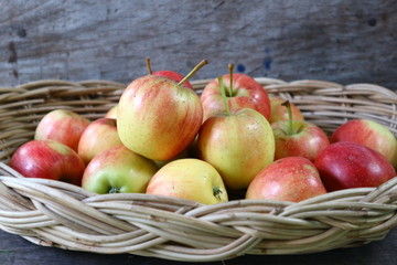 Apples in the basket
