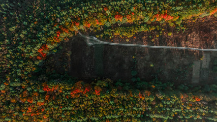 Autumn landscape. Aerial view. Autumn forest on the hill