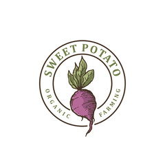 Sweet potato yam cassava vintage logo for farming industry and product store identity with vintage logo design