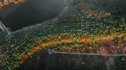 Autumn landscape. Aerial view. Autumn forest on the hill