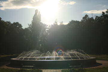 Fontanna w parku