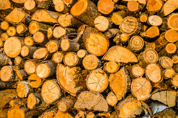 Wood prepared for winter heating