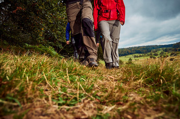 Naklejka premium Wandergruppe