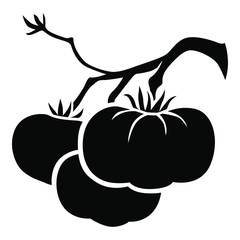 Vector illustration of branch with large-fruited tomatoes