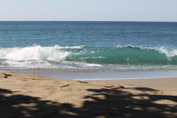 Rouleaux du pacifique