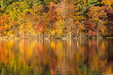   Mont-Saint-Bruno national park in autumn