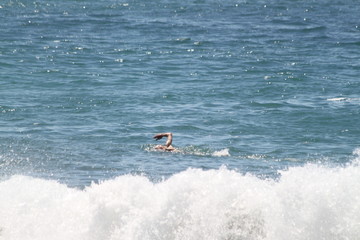 Rouleaux du pacifique