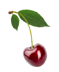 Cherry with green leaves  isolated on white background with clipping path