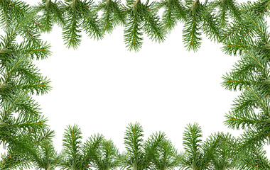 Fototapeta premium Spruce branch with pinecone isolated on white background with clipping path