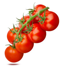 Tomato isolated on white background with clipping path
