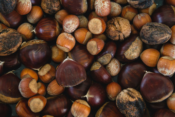 Mix of ripe nuts top view