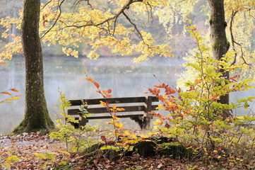 Herbstmorgen am Bärensee bei Stuttgart