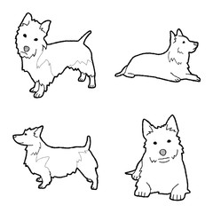 Australian Terrier Animal Vector Illustration Hand Drawn Cartoon Art