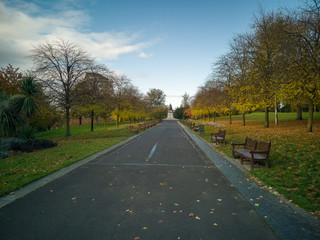 Path through autumn wood towards statue of Andrew Carnegie in Dunfermline Glen